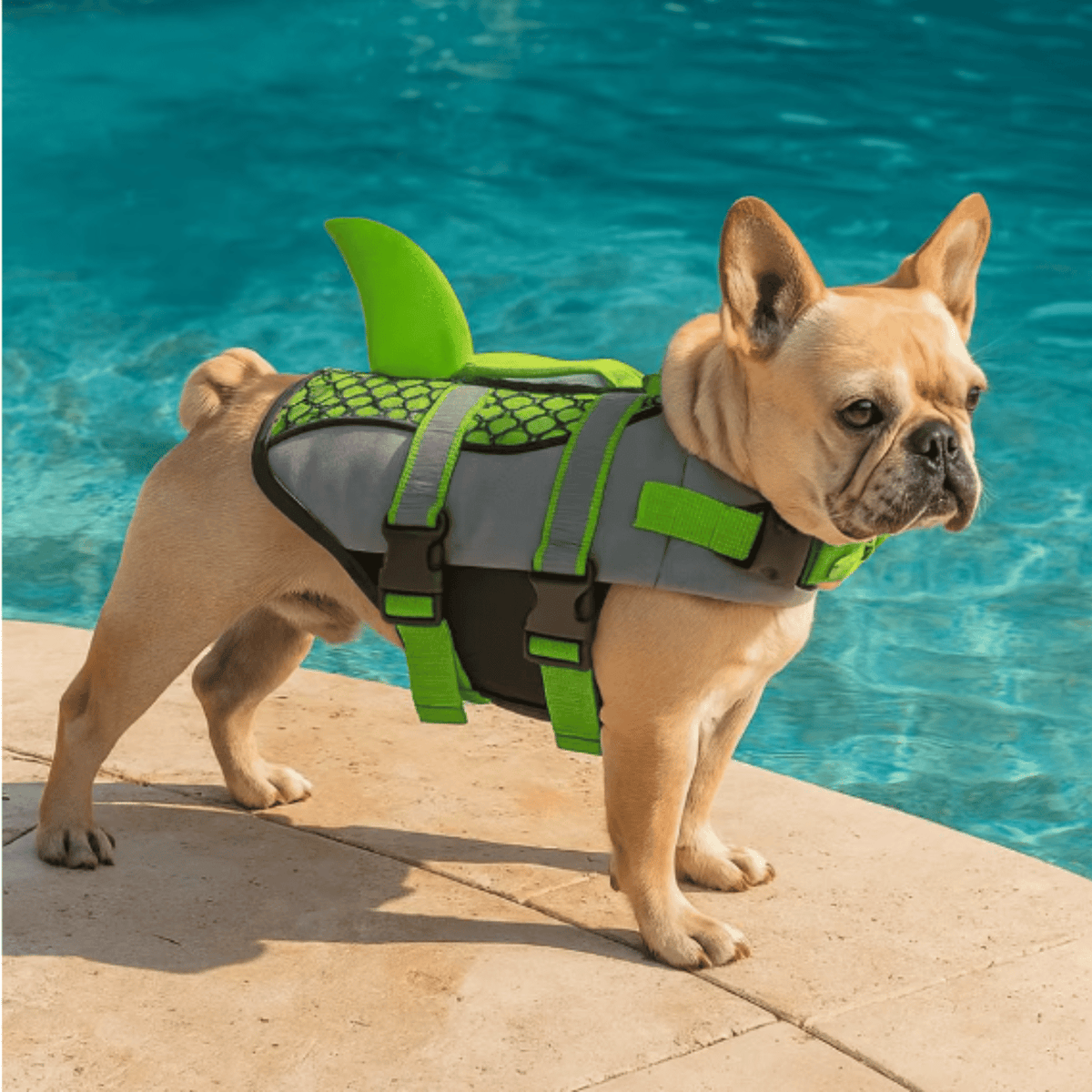 Shark Design Dog Life Jacket – WalkEase™