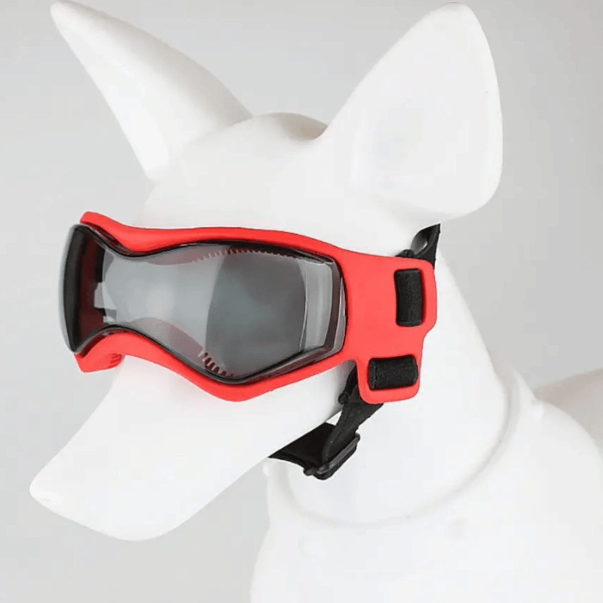 UV-Protective Dog Sunglasses – CareFlow™
