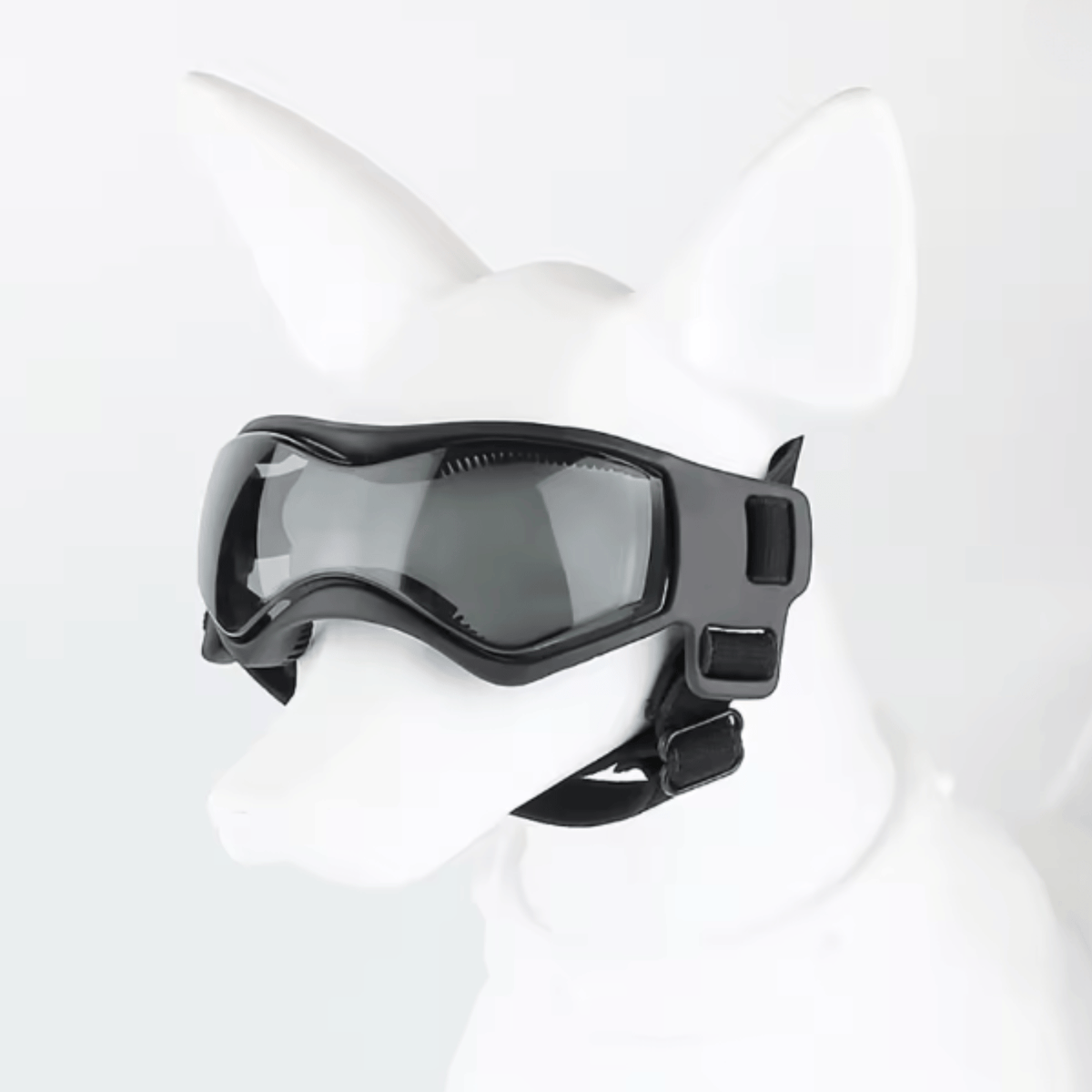 UV-Protective Dog Sunglasses – CareFlow™