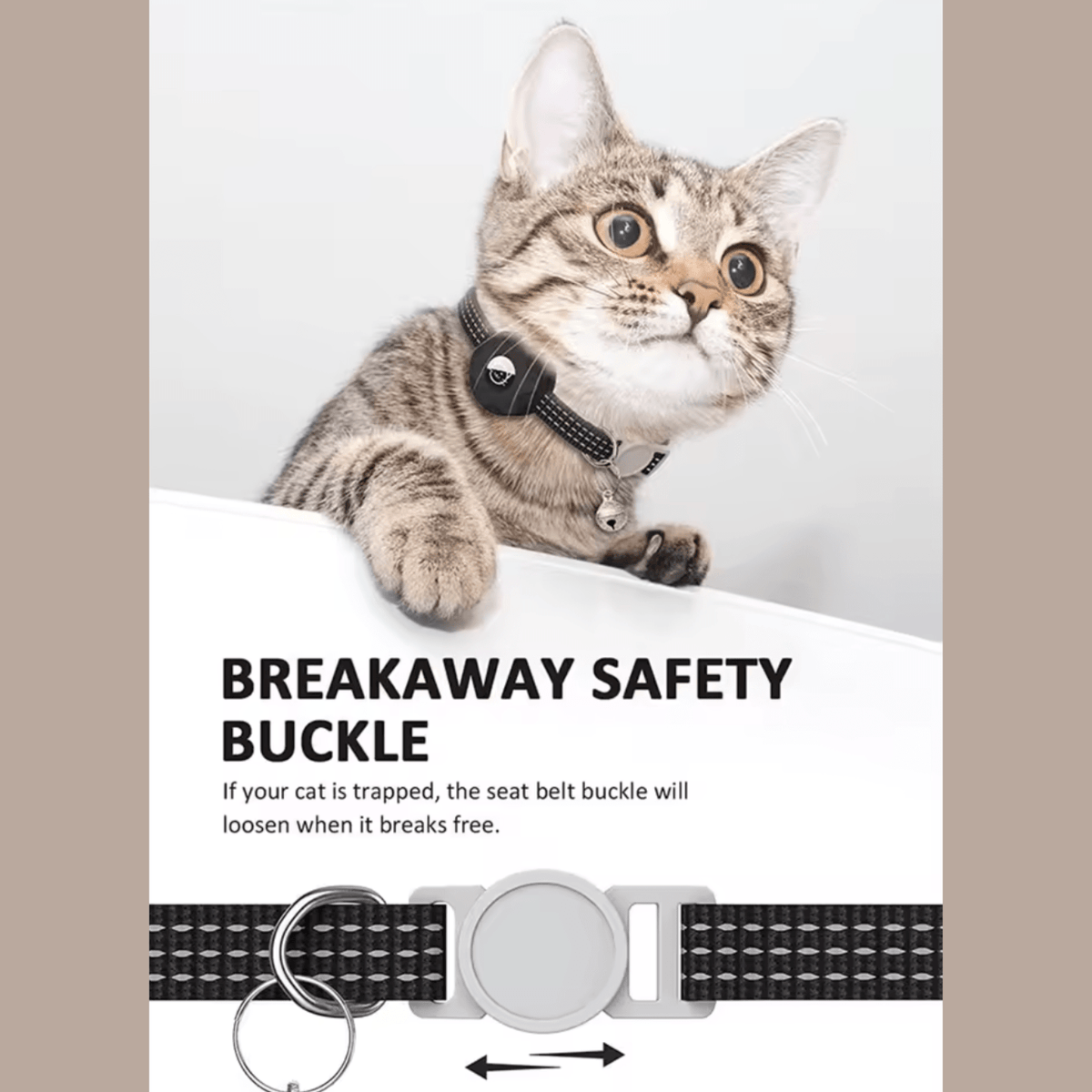Bluetooth Pet Tracker with Reflective Collar – MapSense™