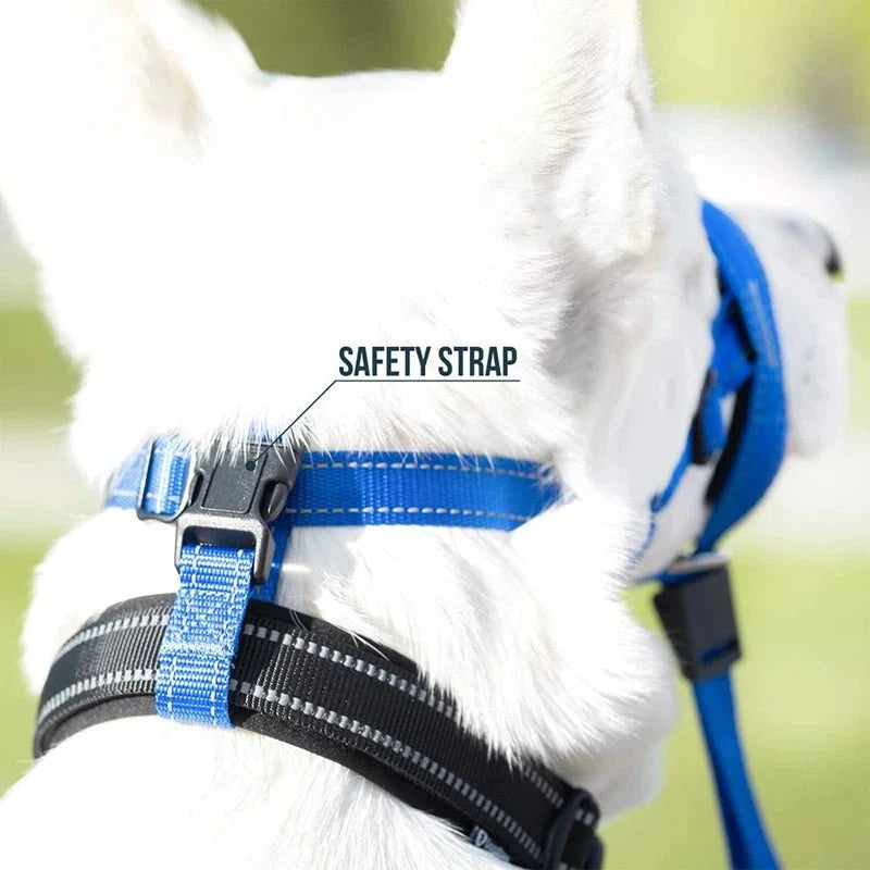 Adjustable Breathable Dog Muzzle – TrailSphere™