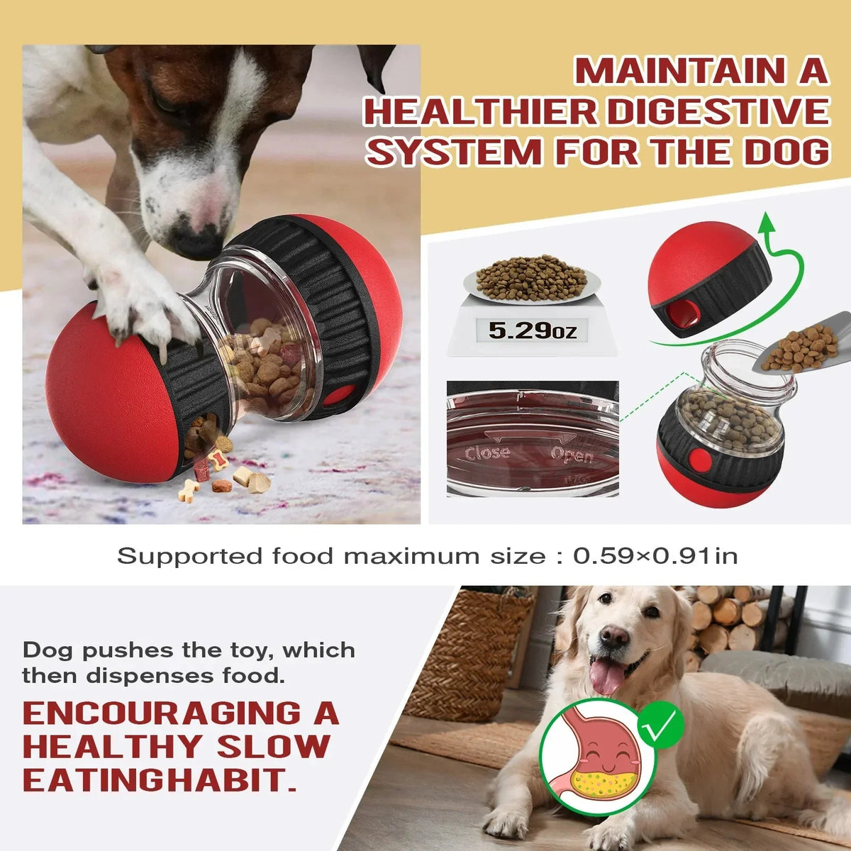 Interactive Slow Feeder Funnel Ball for Dogs – NourishPath™