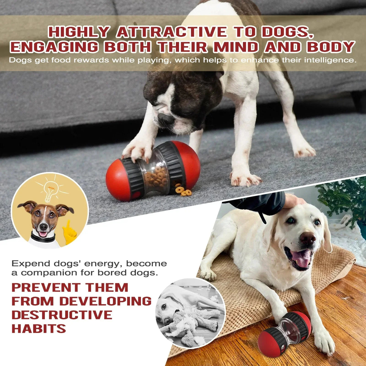 Interactive Slow Feeder Funnel Ball for Dogs – NourishPath™