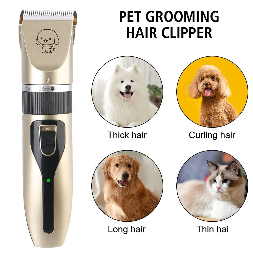 Tailented TailPeak™ – Pet Essentials Starter Bundle for Everyday Care