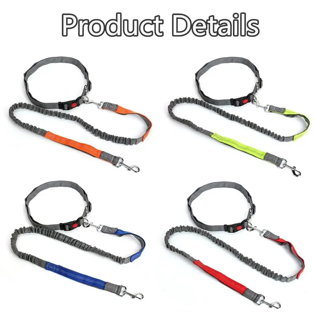 Hands-Free Dog Leash with Waist Belt – LeadView™