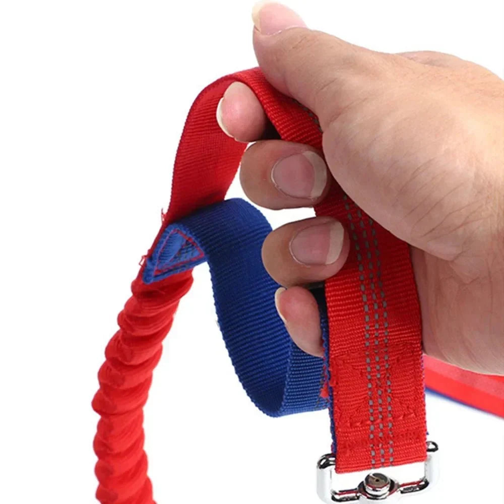 Hands-Free Dog Leash with Waist Belt – LeadView™