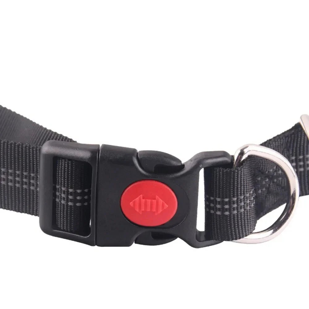 Hands-Free Dog Leash with Waist Belt – LeadView™
