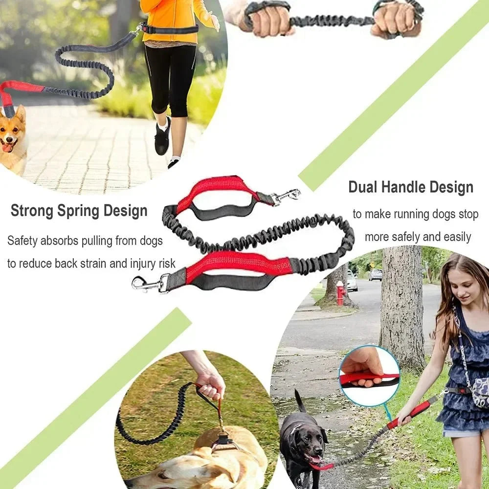 Hands-Free Dog Leash with Waist Belt – LeadView™