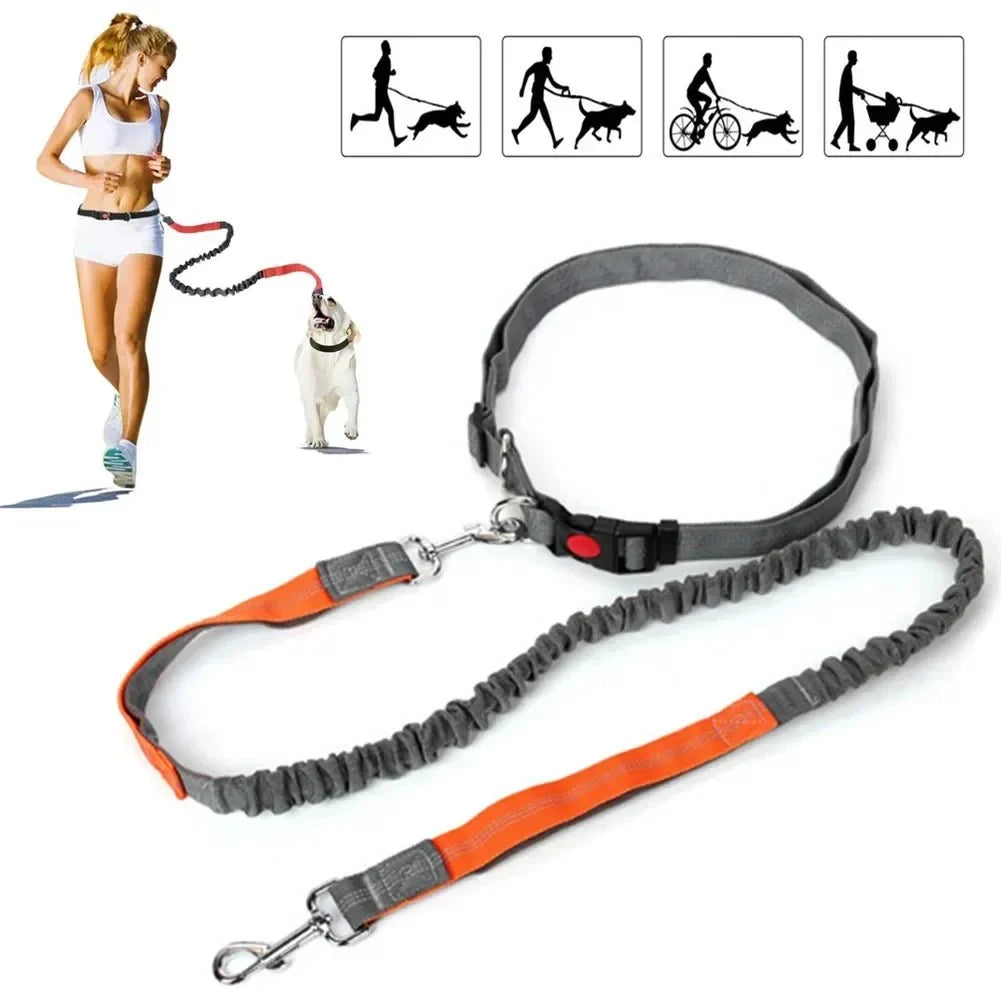 Hands-Free Dog Leash with Waist Belt – LeadView™