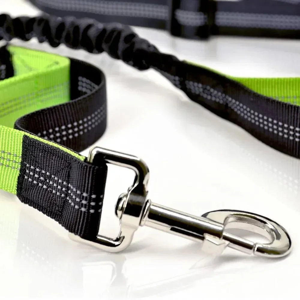 Hands-Free Dog Leash with Waist Belt – LeadView™