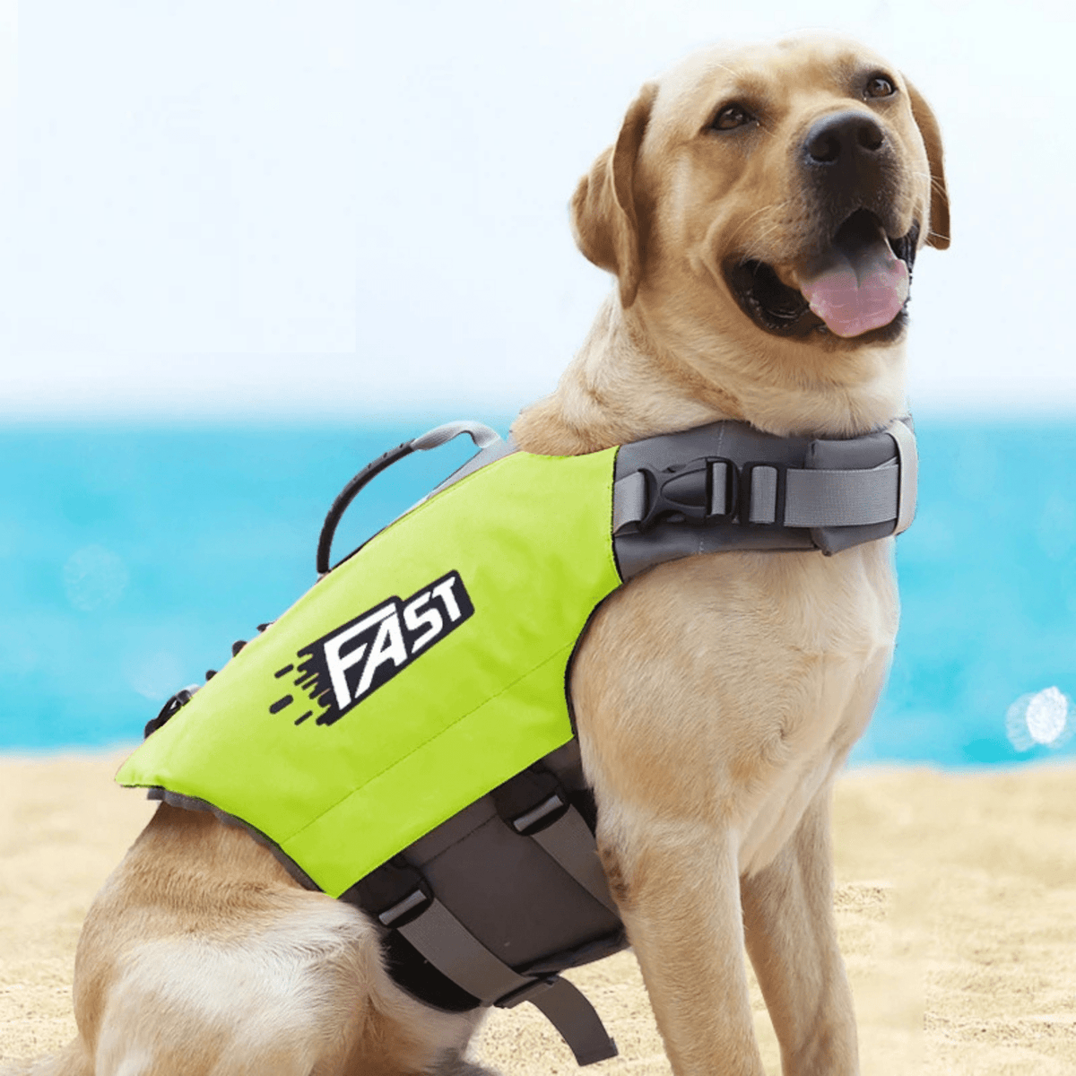 Dog Life Jacket with Reflective Details – CareWave™