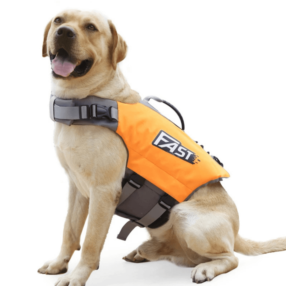 Dog Life Jacket with Reflective Details – CareWave™