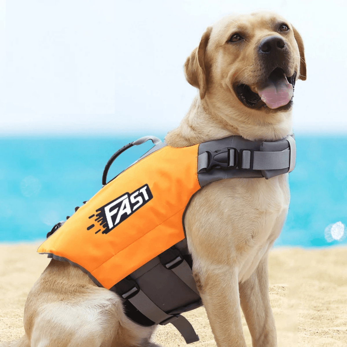 Dog Life Jacket with Reflective Details – CareWave™