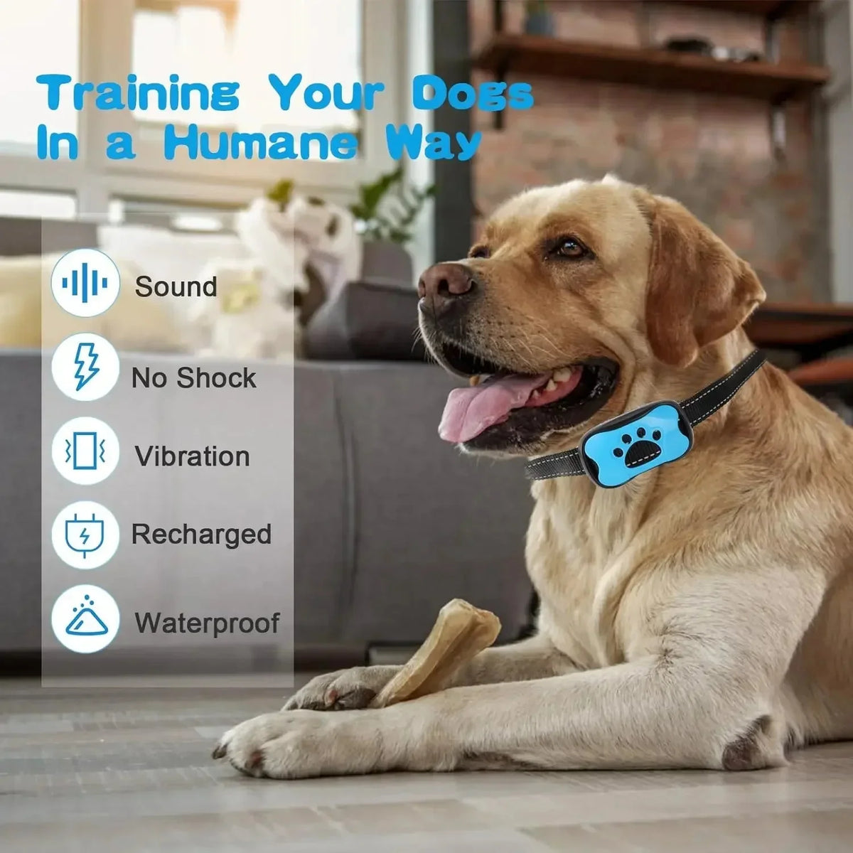 USB Rechargeable Anti-Bark Trainer for Dogs – LifeSafe™
