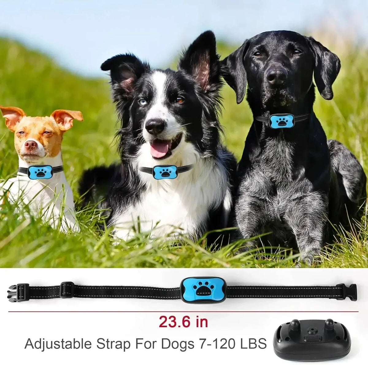 USB Rechargeable Anti-Bark Trainer for Dogs – LifeSafe™