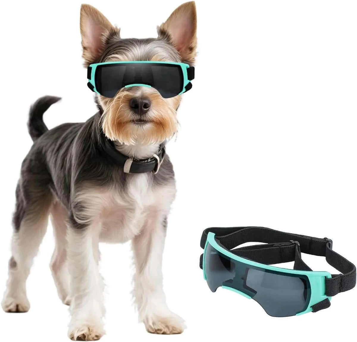UV-Protective Dog Sunglasses – CareFlow™