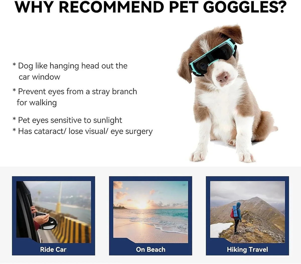 UV-Protective Dog Sunglasses – CareFlow™