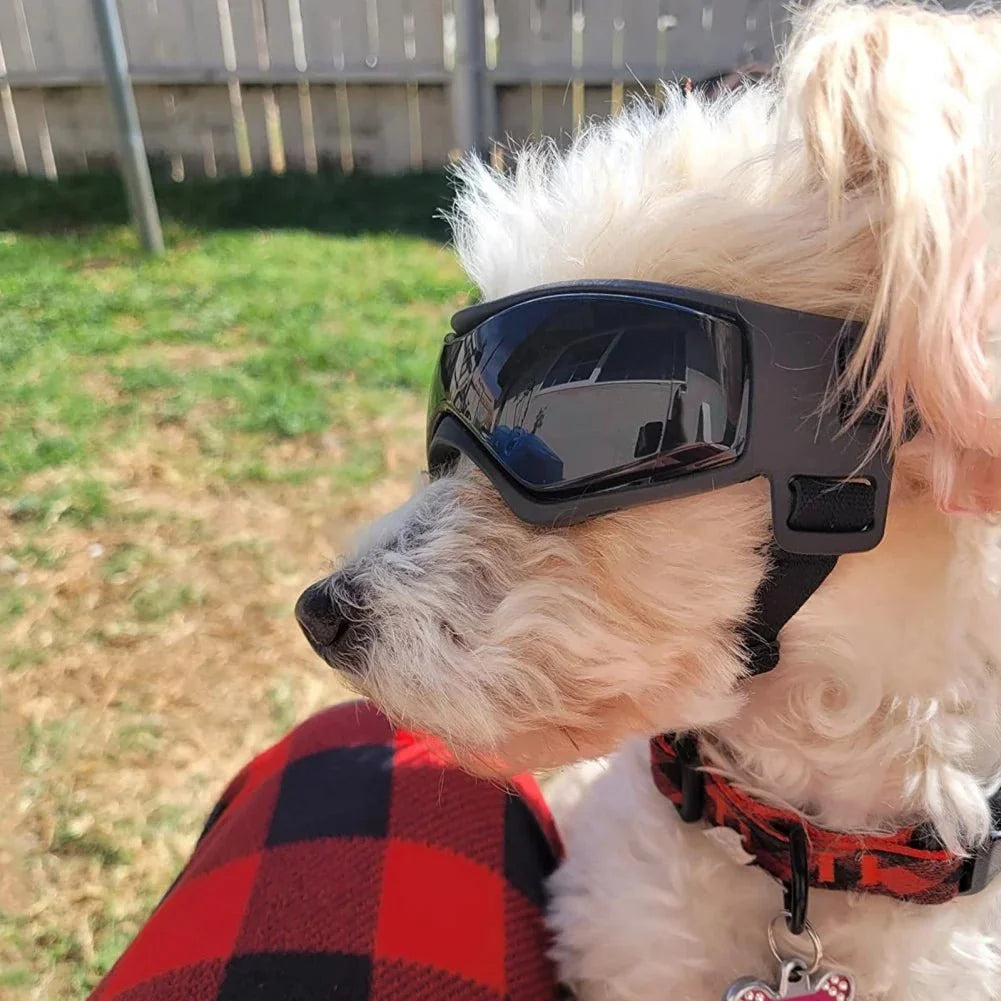 UV-Protective Pet Sunglasses for Dogs & Cats – ReadyShield™