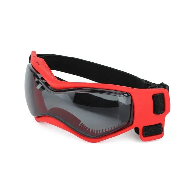 UV-Protective Pet Sunglasses for Dogs & Cats – ReadyShield™