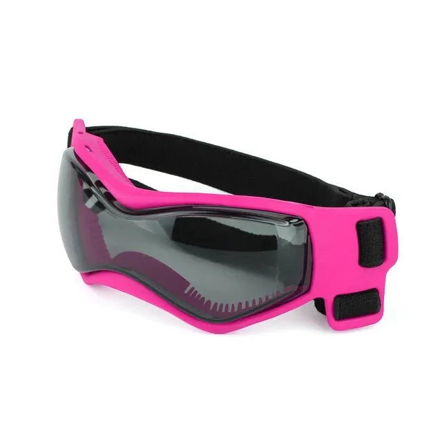 UV-Protective Pet Sunglasses for Dogs & Cats – ReadyShield™
