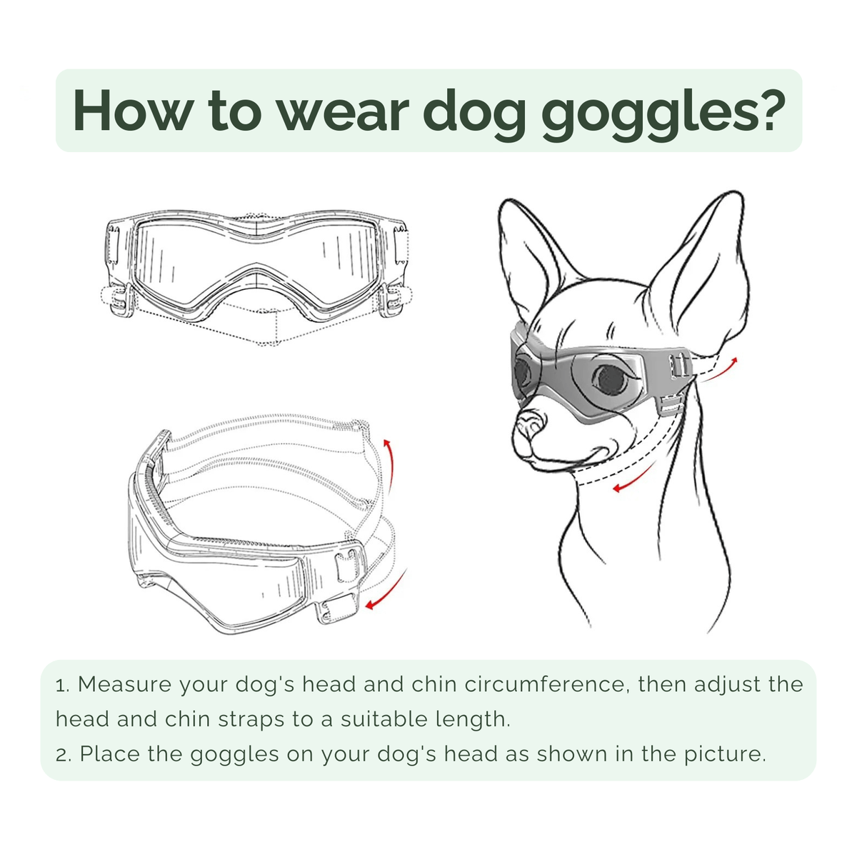 UV-Protective Pet Sunglasses for Dogs & Cats – ReadyShield™