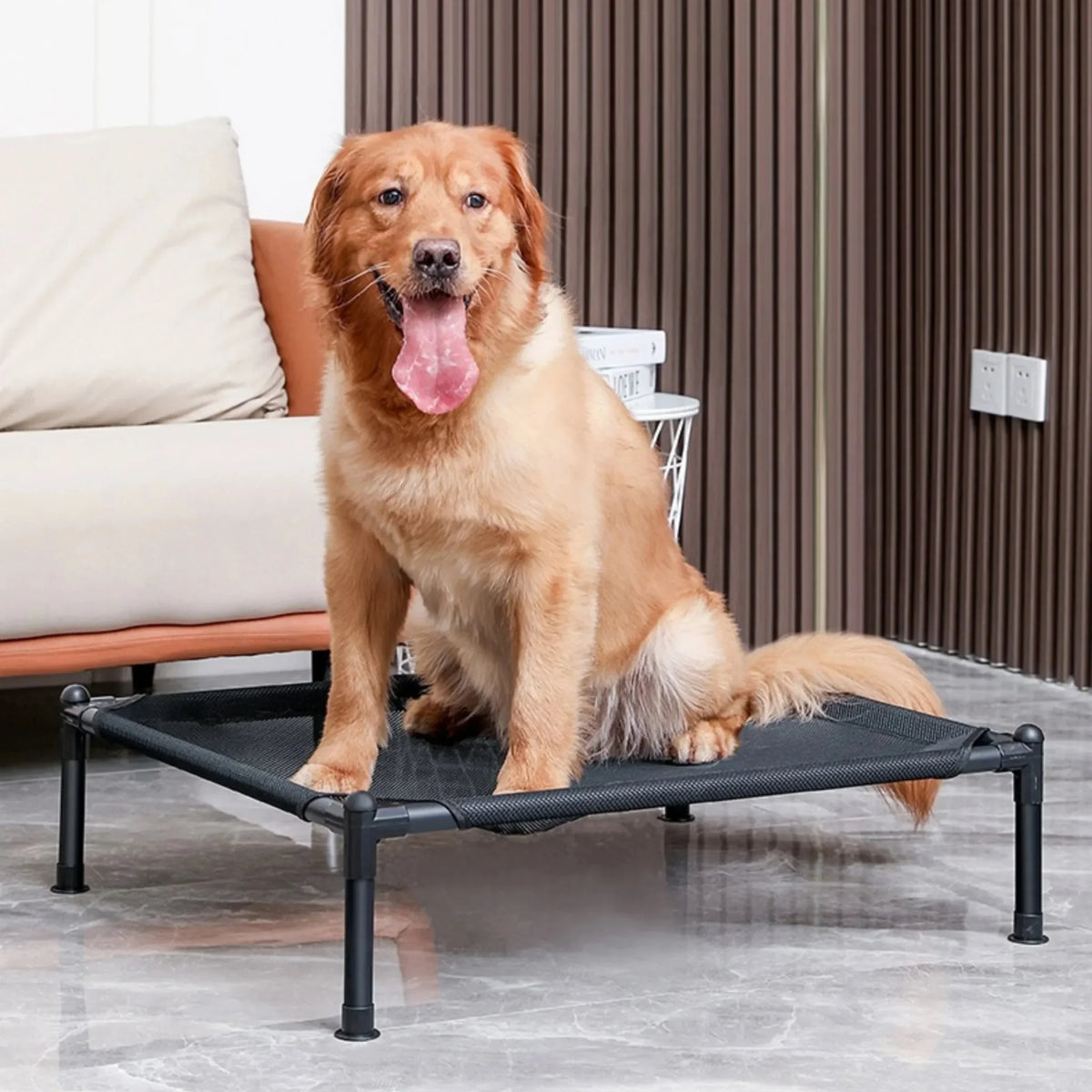 Raised Portable Pet Bed for Dogs & Cats – SoftView™