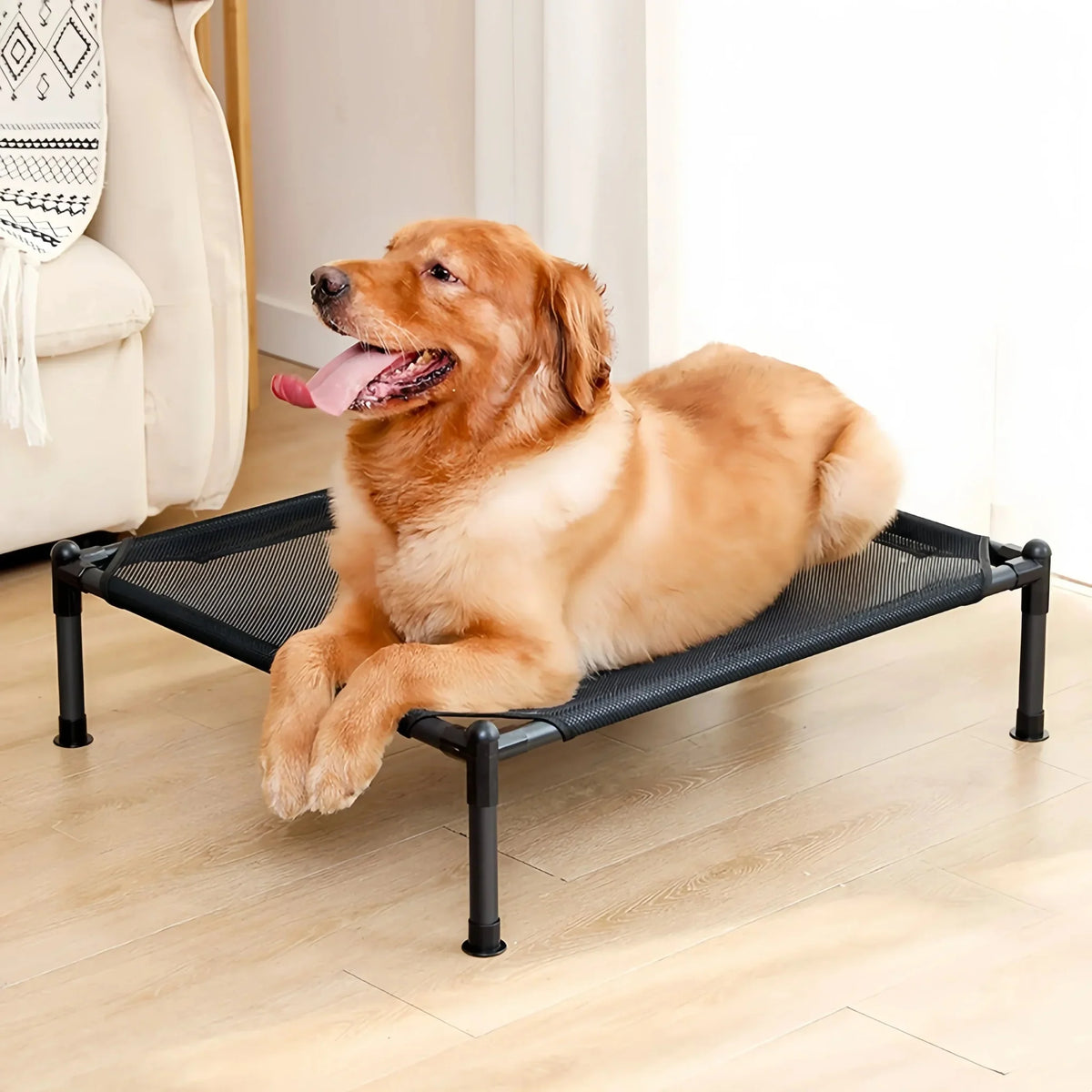 Raised Portable Pet Bed for Dogs & Cats – SoftView™