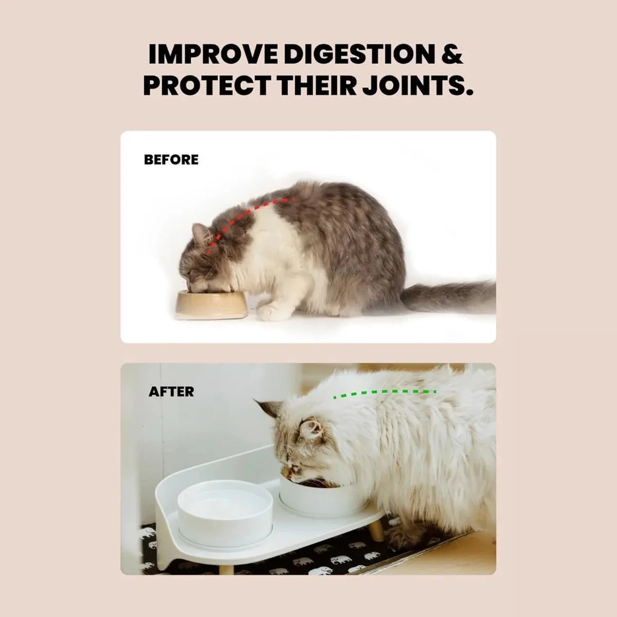 Raised Pet Food Bowl for Dogs & Cats – FeedLink™
