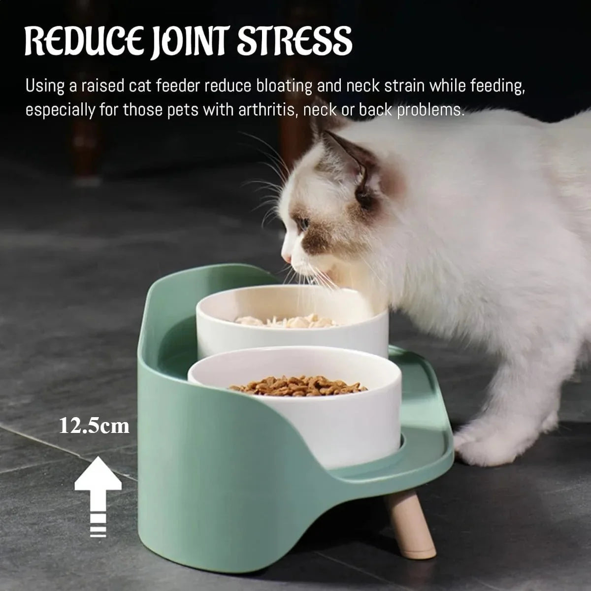 Raised Pet Food Bowl for Dogs & Cats – FeedLink™