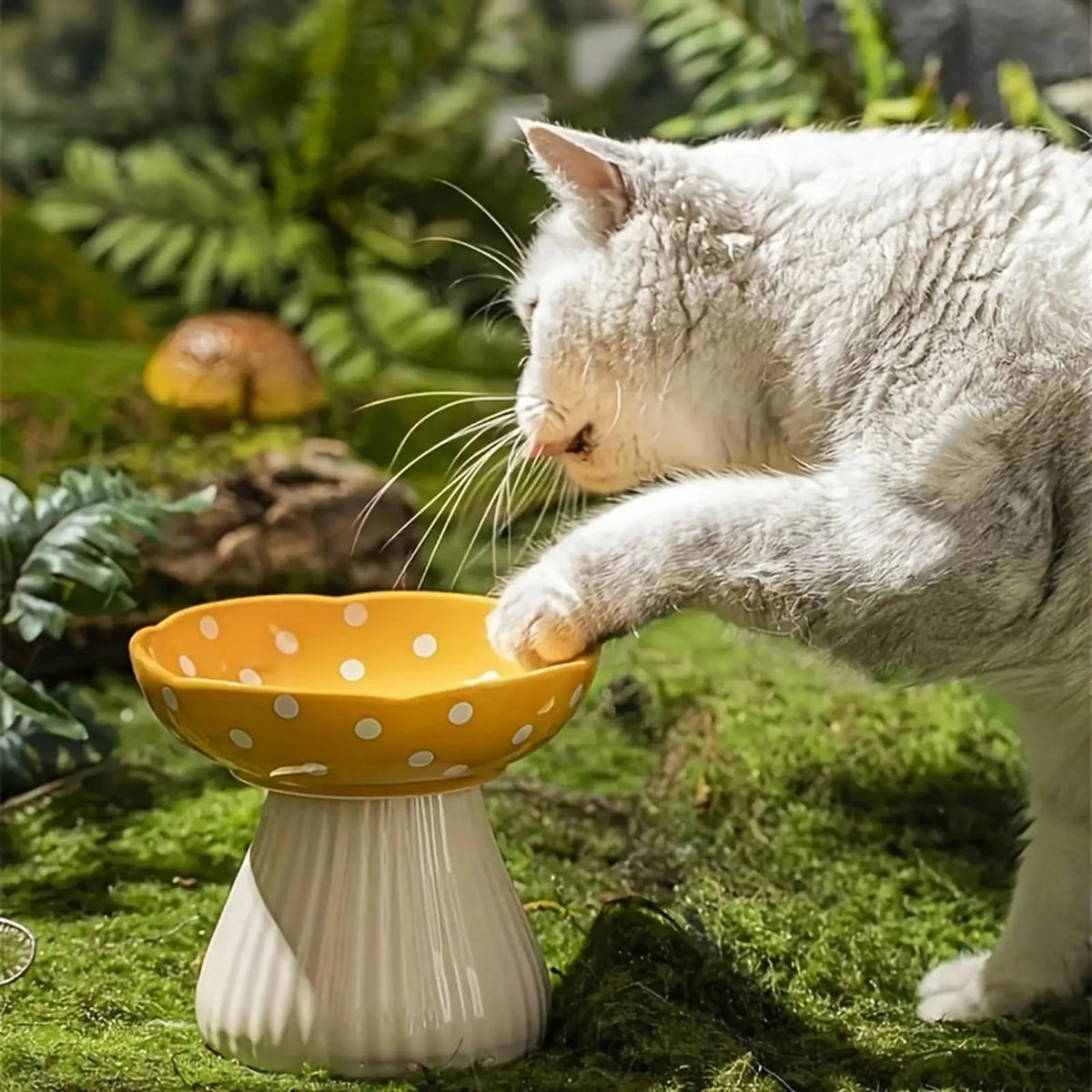 Raised Ceramic Cat Food Bowl – MealDaily™