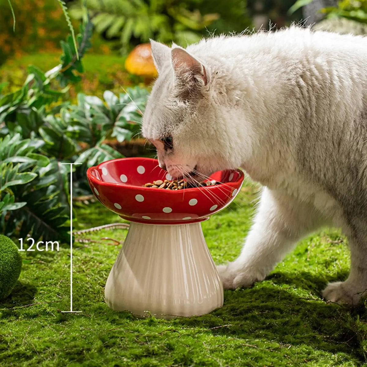 Raised Ceramic Cat Food Bowl – MealDaily™