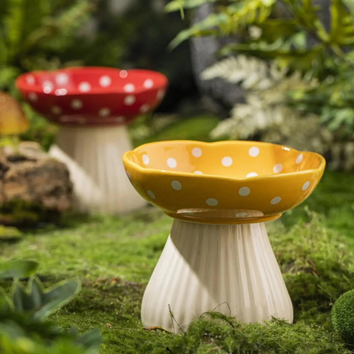 Raised Ceramic Cat Food Bowl – MealDaily™