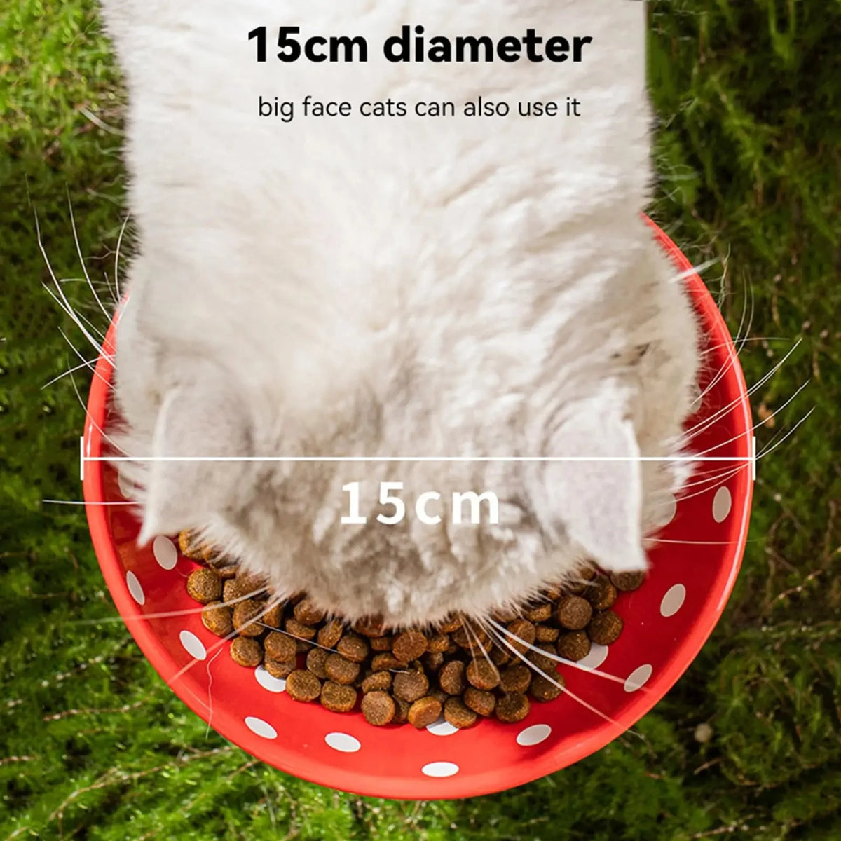 Raised Ceramic Cat Food Bowl – MealDaily™