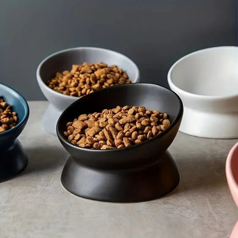 Raised Ceramic Pet Food Bowl – PawActive™