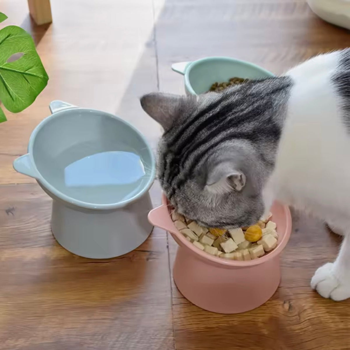 Raised Pet Food Bowl – FeedGuard™