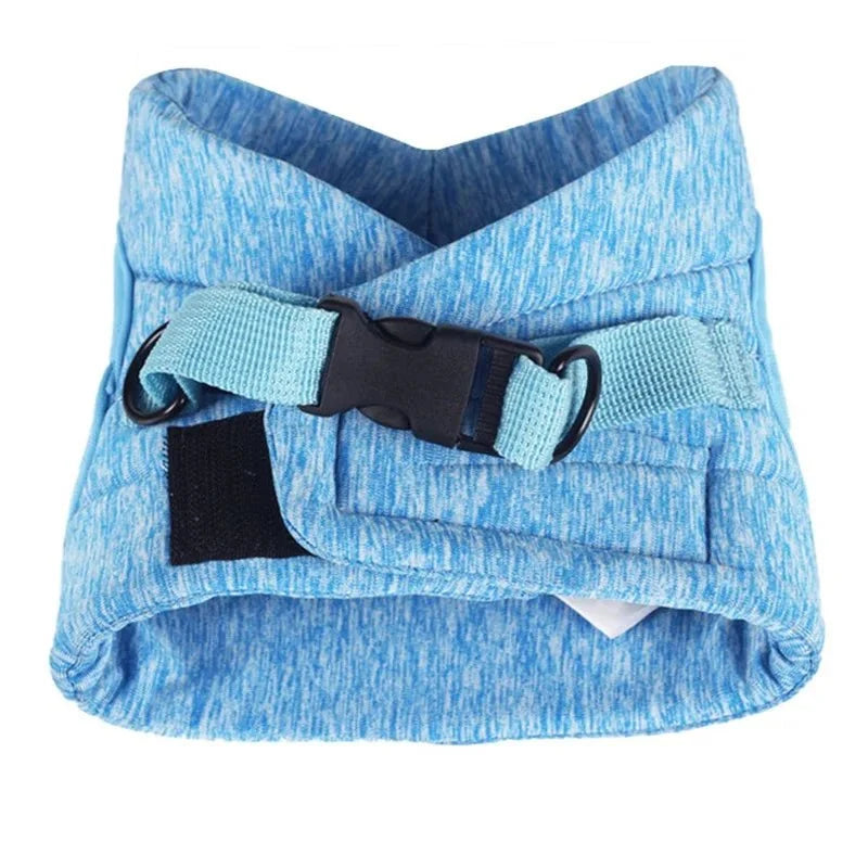 Adjustable Dog Harness & Leash Set – EverydayActive™