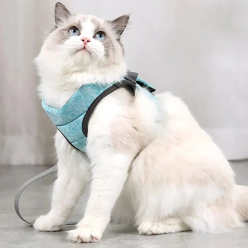 Adjustable Dog Harness & Leash Set – EverydayActive™