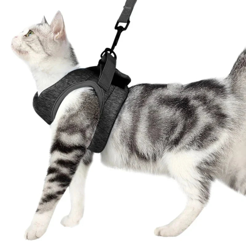 Adjustable Dog Harness & Leash Set – EverydayActive™