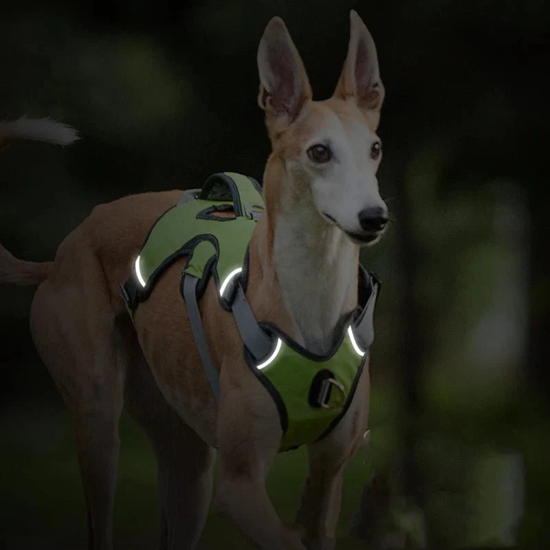 Waterproof Reflective Dog Harness – FlexPort™