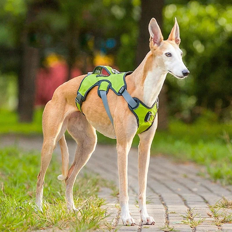 Waterproof Reflective Dog Harness – FlexPort™
