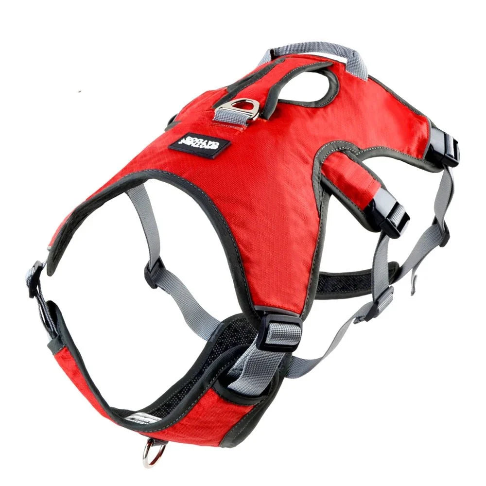Waterproof Reflective Dog Harness – FlexPort™