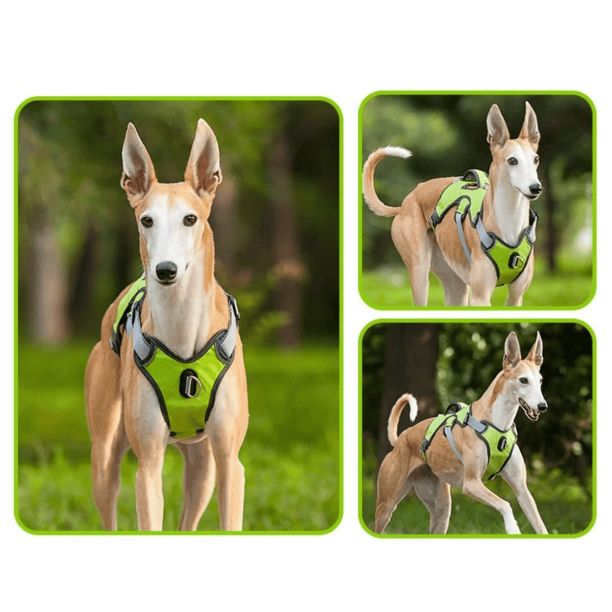 Waterproof Reflective Dog Harness – FlexPort™