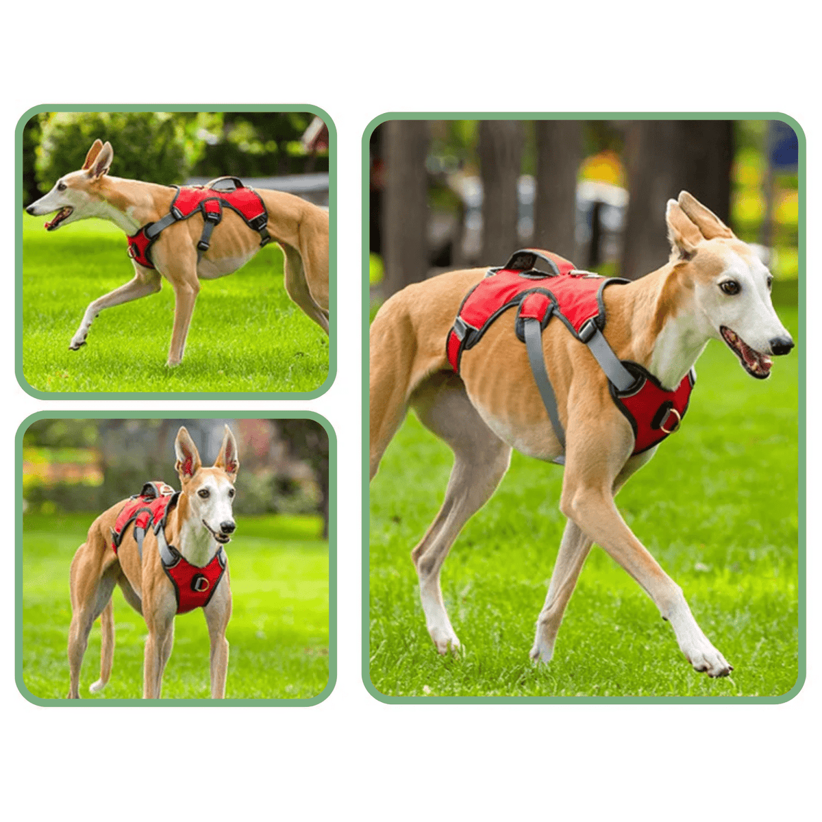 Waterproof Reflective Dog Harness – FlexPort™