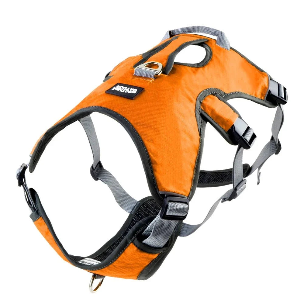 Waterproof Reflective Dog Harness – FlexPort™