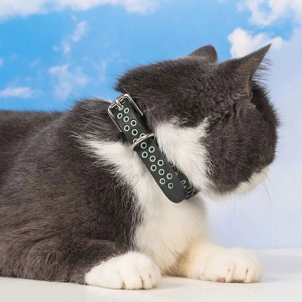 Flea & Tick Protection Collar for Pets – LifeMate™