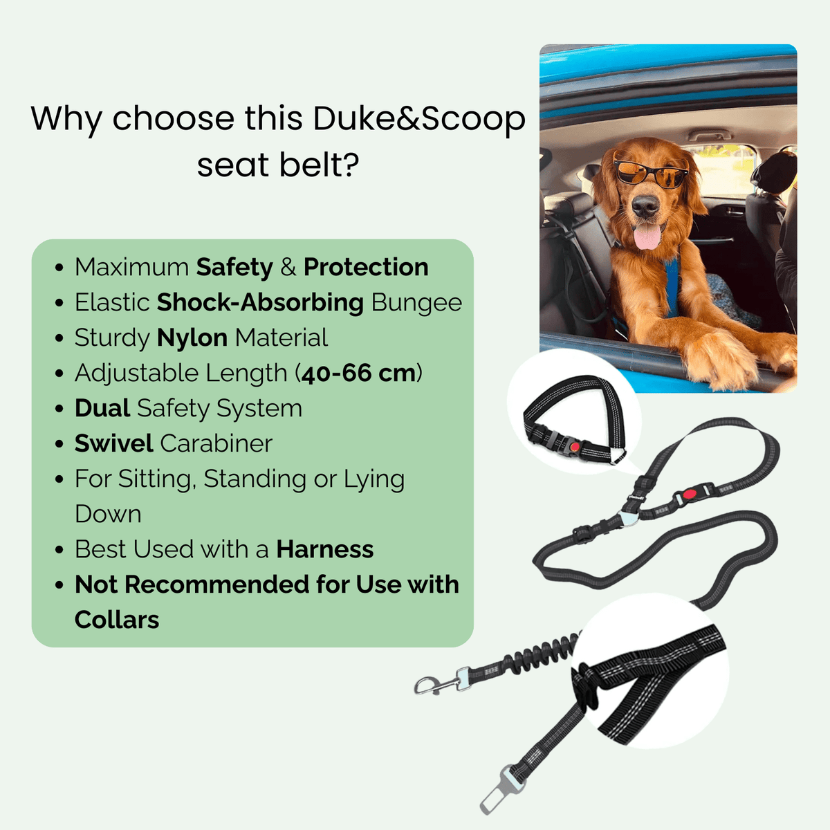 Adjustable Dog Car Safety Belt – JourneyEase™