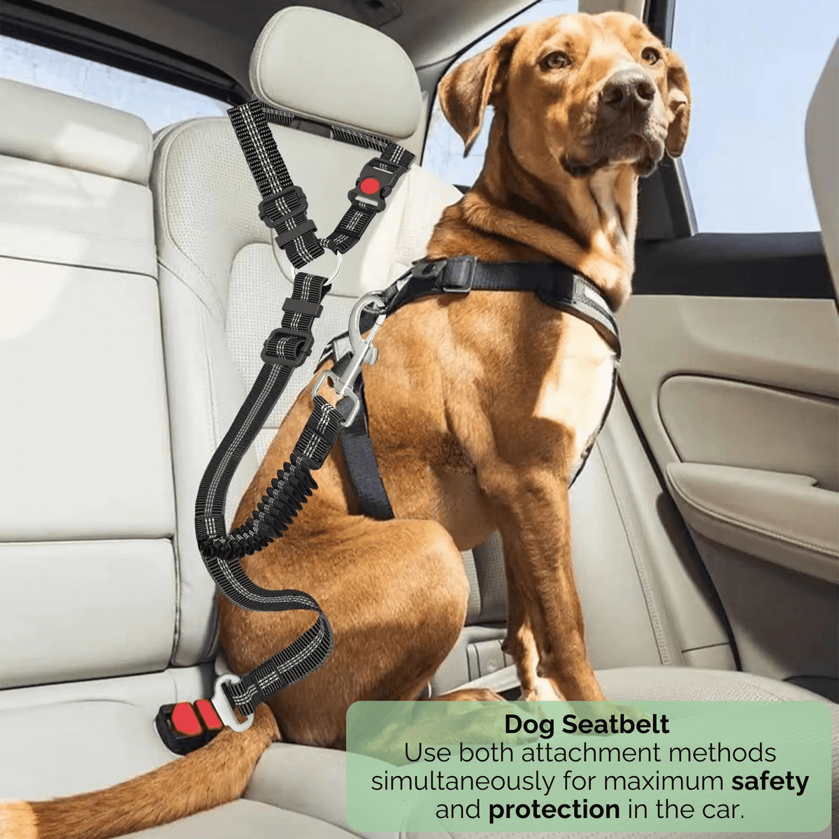 Adjustable Dog Car Safety Belt – JourneyEase™