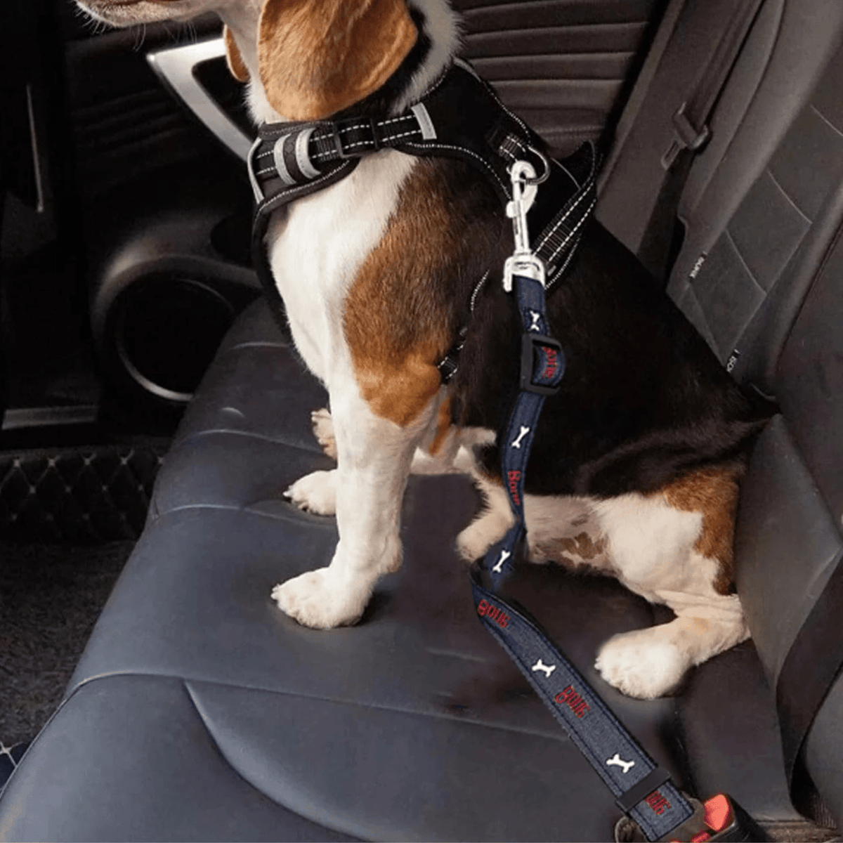 Adjustable Pet Car Seat Belt for Dogs & Cats – CarMate™