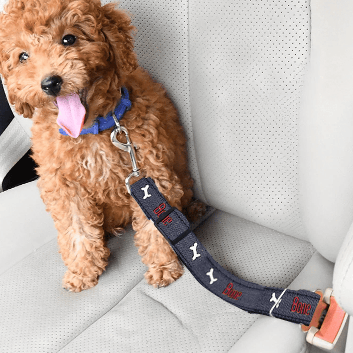 Adjustable Pet Car Seat Belt for Dogs & Cats – CarMate™