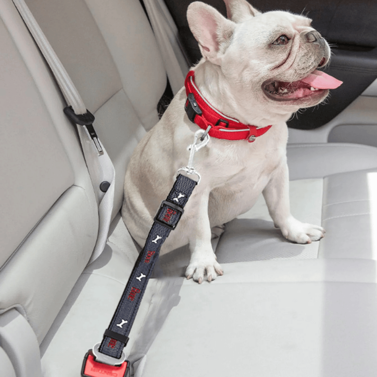 Adjustable Pet Car Seat Belt for Dogs & Cats – CarMate™